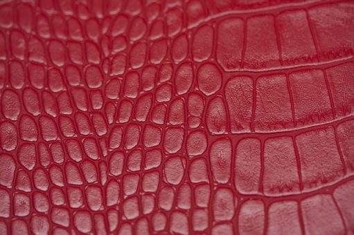 crocodile leather