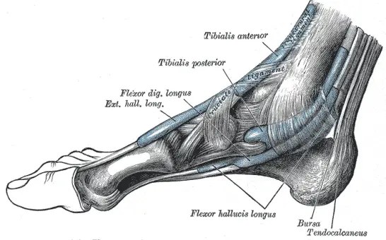 Tarsal Tunnel syndrome