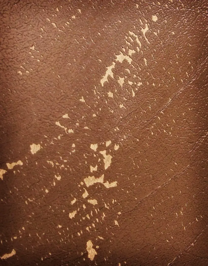 Should You Put Your Work Boots in the Dryer? The Pros and Cons Work